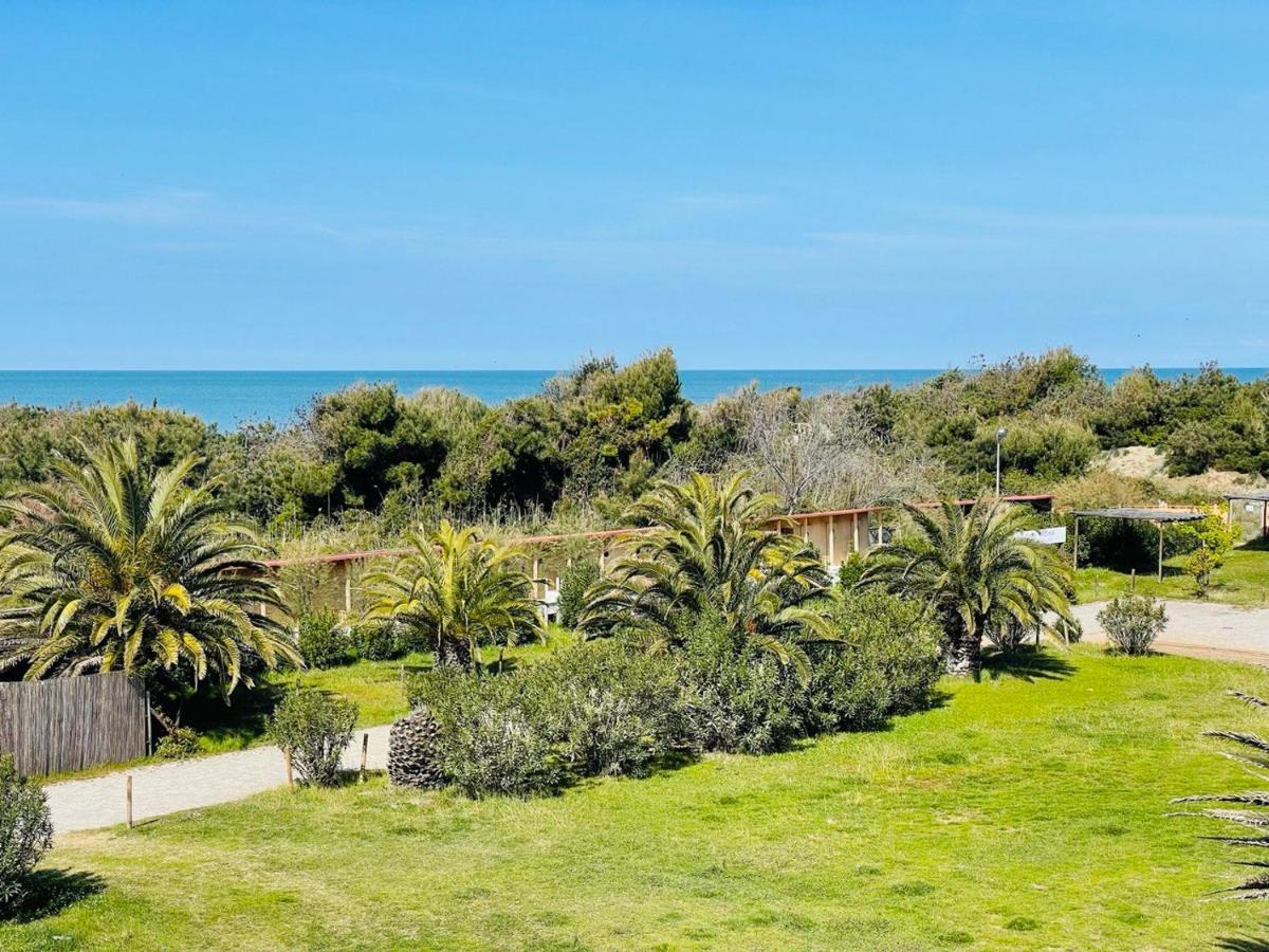 Regina Beach Holiday Apartments Tirrenia Kültér fotó
